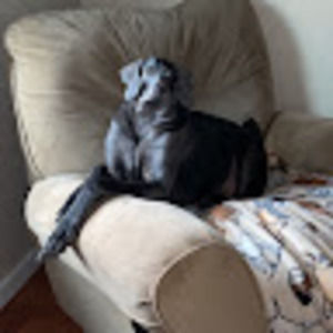 Meet your Posher, Aloha